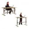 Electric 2 Sit-To-Stand Desk -Ergonomicoffice Outlet Store ERTGO2