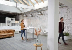 Electric PRO Very Low-Range 580mm/1240mm Sit-To-Stand Desk -Ergonomicoffice Outlet Store ERTGOPRO 2