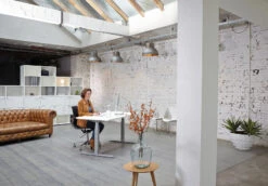 Electric PRO Very Low-Range 580mm/1240mm Sit-To-Stand Desk -Ergonomicoffice Outlet Store ERTGOPRO 3