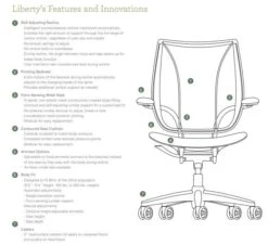 Liberty Mesh Back Chair 11 Liberty Mesh Back Chair -Ergonomicoffice Outlet Store HSLIA 3