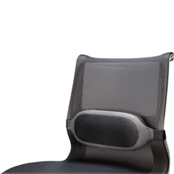 Fellowes I-Spire Lumbar Cushion